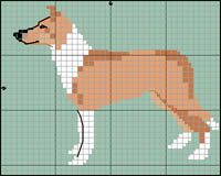 Collie (långhårig; sobel)